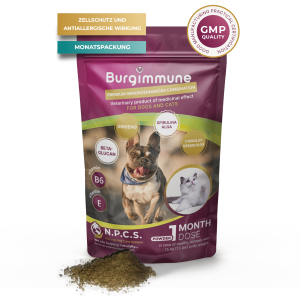 Burgimmune 1 Monatsdosis Pulver, 45g