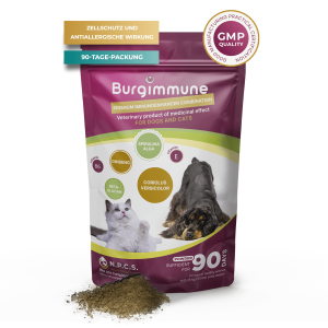1 Packung Burgimmune Pulver, 135g