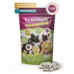 Burgimmune FORTE Pills (30 pills)