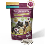 Burgimmune FORTE Pills (60 pills)