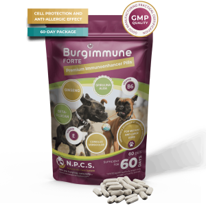 Burgimmune FORTE Pills (60 pills)