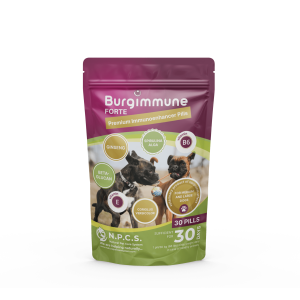 Burgimmune FORTE Pills (30 pills)