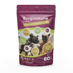 Burgimmune FORTE Tablets (60 tablets)