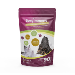 1 box of Burgimmune powder (for 90 days)