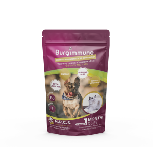 1 monthly dose of Burgimmune powder