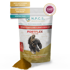 N.P.C.S. FORTFLEX - Bone, cartilage, joint, muscle (WITH NATURAL PAIN RELIEF), 50g