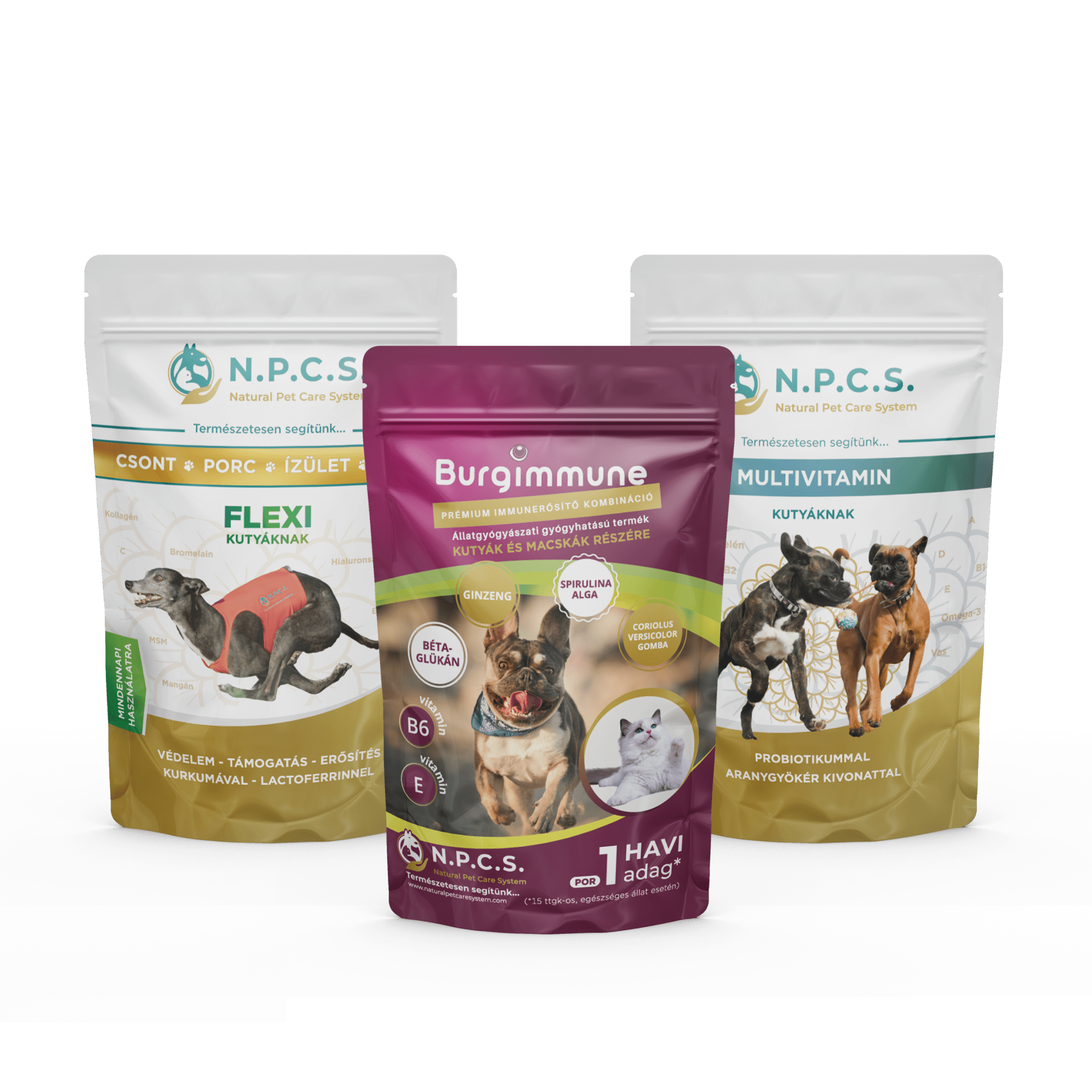 1 havi adag Burgimmune por + Natural Pet Care System Multivitamin Kutyáknak + N.P.C.S. FLEXI