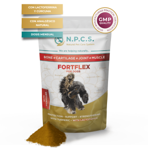 N.P.C.S. FORTFLEX – Hueso Cartílago Articulación Músculo (analgésico) 50 g