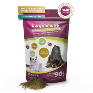 Burgimmune en polvo (para 90 días), 135g