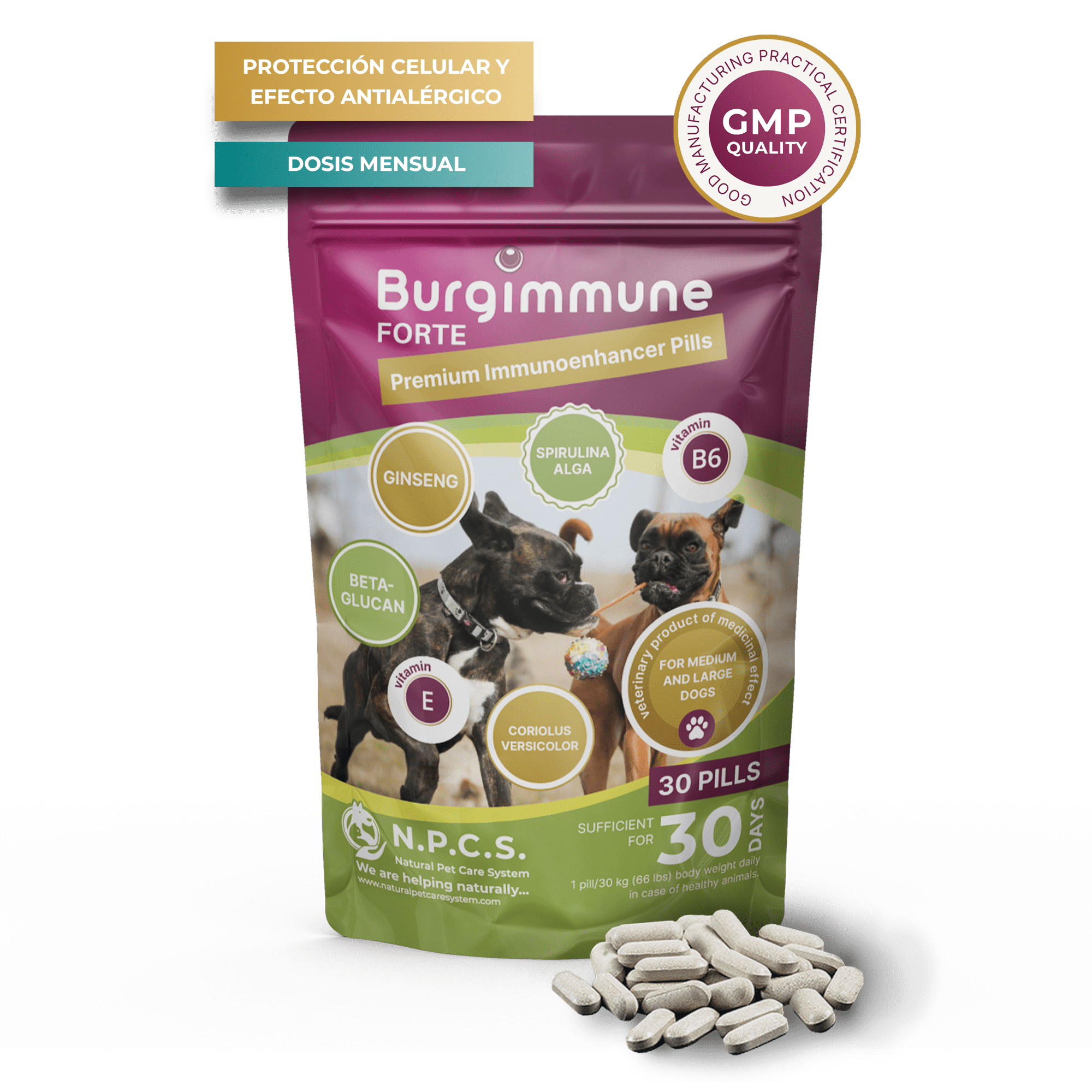 Burgimmune FORTE Comprimidos (30 unidades)