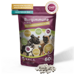 Burgimmune FORTE Comprimidos (60 unidades)
