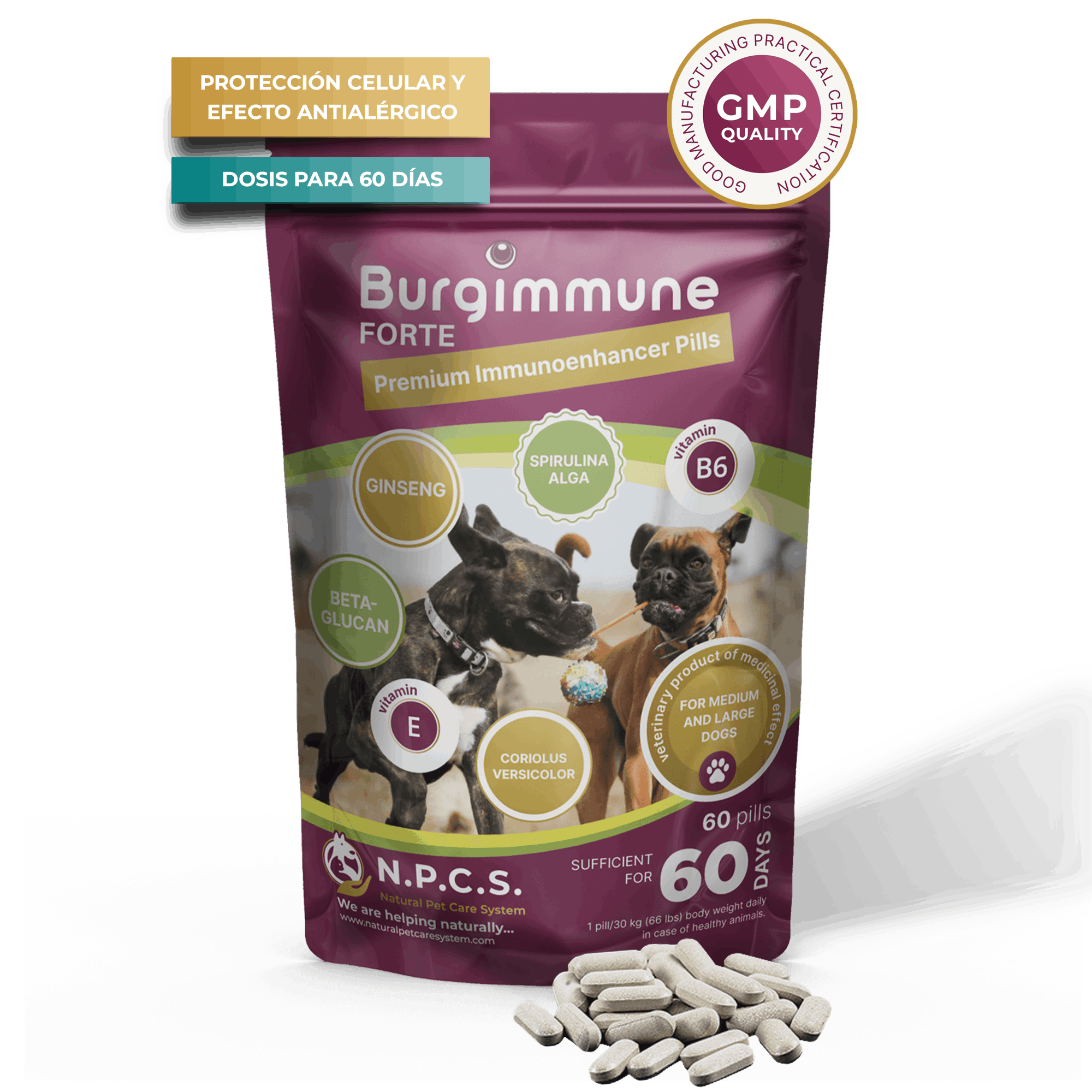 Burgimmune FORTE Comprimidos (60 unidades)