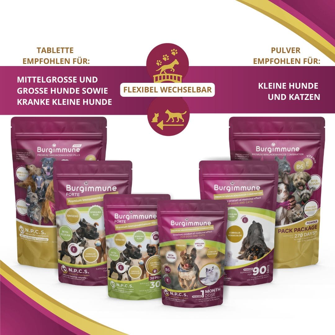 Hunde und Katzen