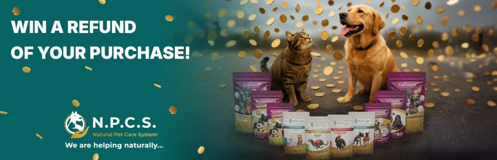 WIN BACK THE PRICE OF YOUR PURCHASE!