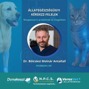 Webinar nyereményjátékkal: Hogyan vizsgál az ortopédus állatorvos? – Állatorvosi kérdezz-felelek dr. Bölcskei Molnár Antallal