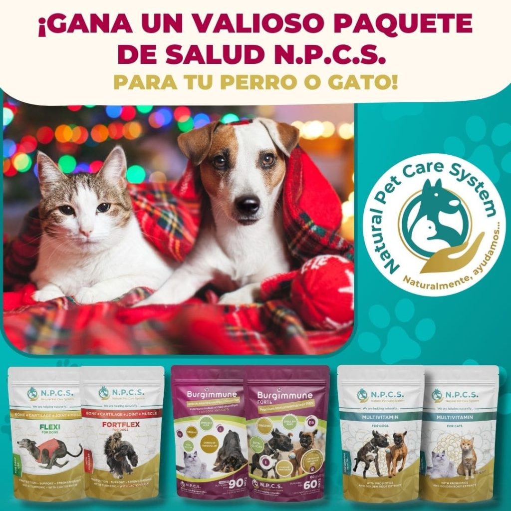 Juego de premios navideño en Facebook e Instagram