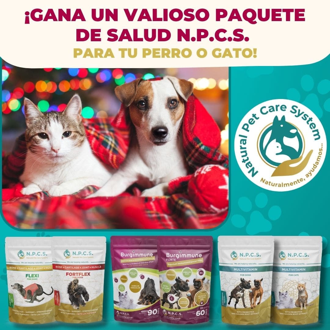 Juego de premios navideño en Facebook e Instagram