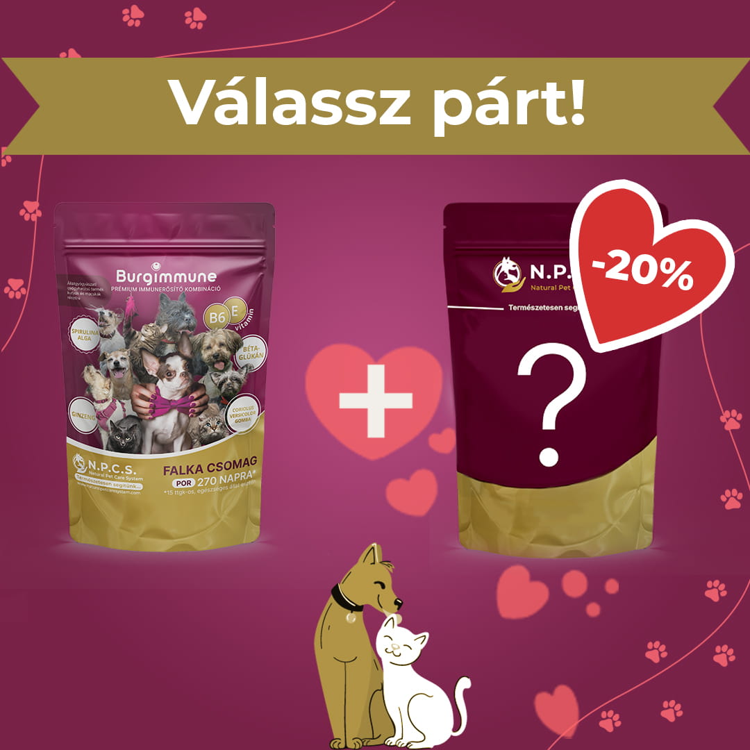 Burgimmune por – Falka csomag (270napra) - Válassz párt! csomag (20% kedvezmény a második termékre)