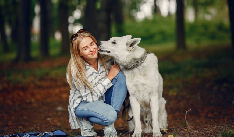 Mit jelent a boldogság egy kisállat számára?