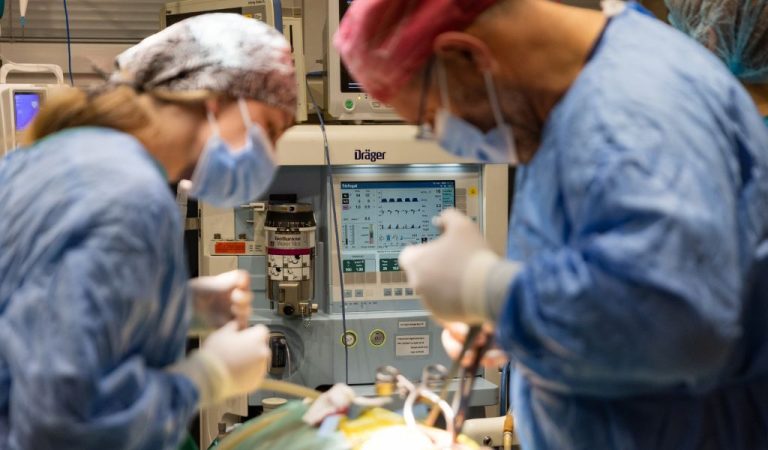 Dunakeszi Állatkórház és a VeresVet Állatkórház